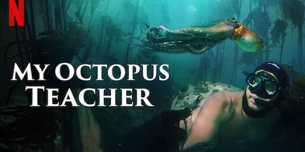 My-Octopus-Teacher