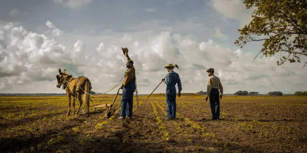 Mudbound