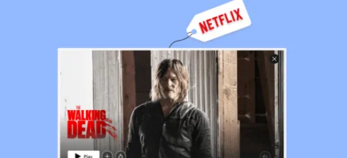 The-Walking-dead-on-Netflix